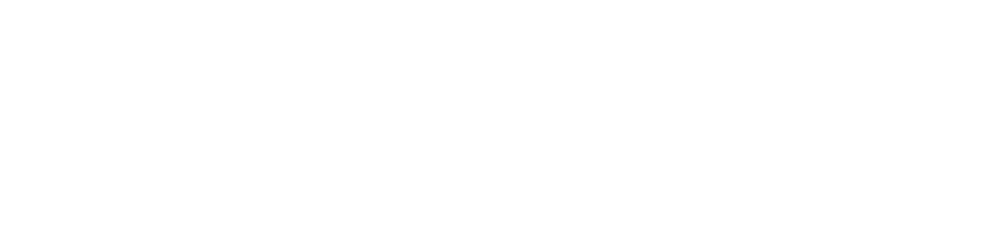 WRZ Service Logo